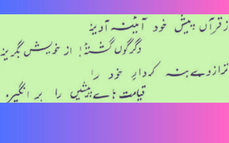 Alama iqbal quotes